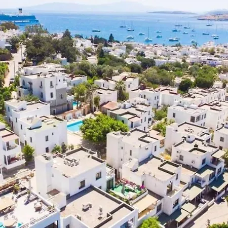 Feeling Αλικαρνασσός